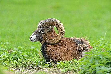 《NBA 2K23》次世代版「篮球之城」：在名宿地标中驰骋球场 