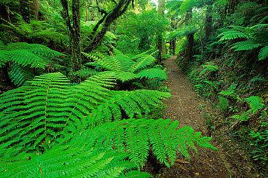 《战地2042》首批媒体评分出炉 GameSpot暂时8分